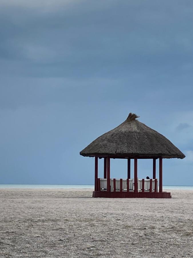 Vega Beach Apartment Mamaia Bagian luar foto